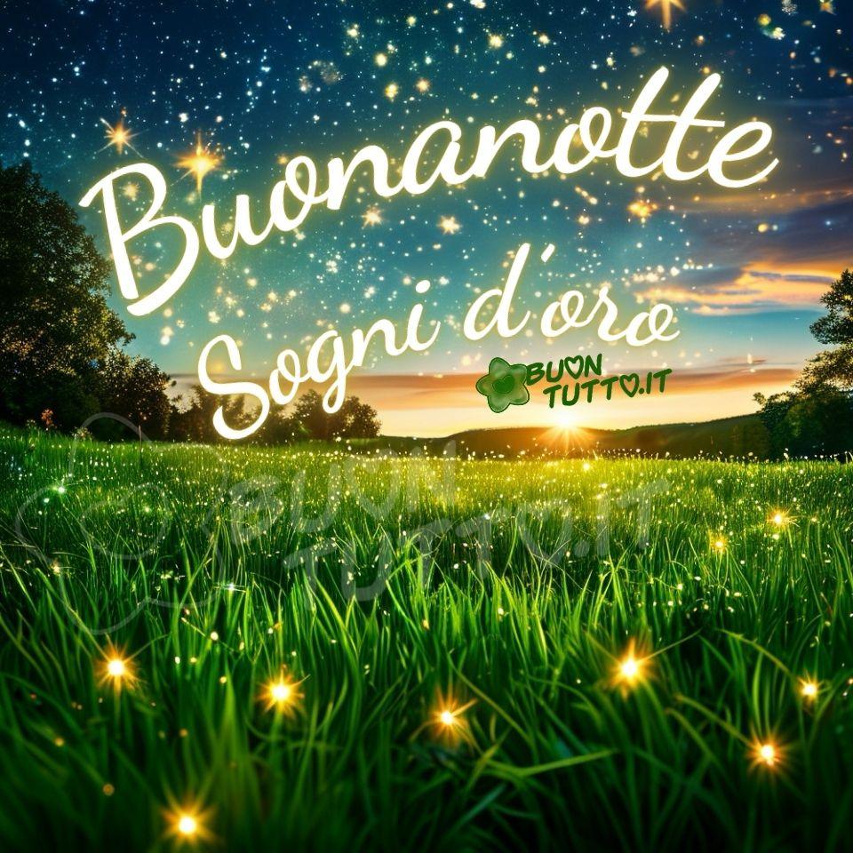 La foto di un paesaggio notturno, con un cielo profondo e stellato che si fonde con le sfumature arancioni e gialle di un tramonto. Il cielo è punteggiato da numerose stelle brillanti, alcune delle quali sembrano più grandi e luminose donando un’atmosfera fiabesca. In primo piano, c'è un campo di erba verde, illuminato da una luce calda. All'interno del prato, ci sono delle luci brillanti, simili a quelle delle lucciole. Sullo sfondo, si intravede una linea di alberi e colline che si innalzano maestosi verso il cielo illuminato dalle stelle. Nella parte alta dell'immagine c'è scritto in forma semi-circolare in un carattere corsivo elegante di colore bianco e contorno dorato Buonanotte Sogni d’oro. Un'immagine dall’atmosfera serena e incantata che trasmette serenità, bellezza, stupore, incanto, gioia e pace da scaricare gratis e condividere con amici, cari, familiari, parenti gruppi tramite WhatsApp, Facebook, X Twitter, Pinterest, Telegram, LinkedIn, Instagram e le tue piattaforme social preferite. Autore BuonTutto.it
