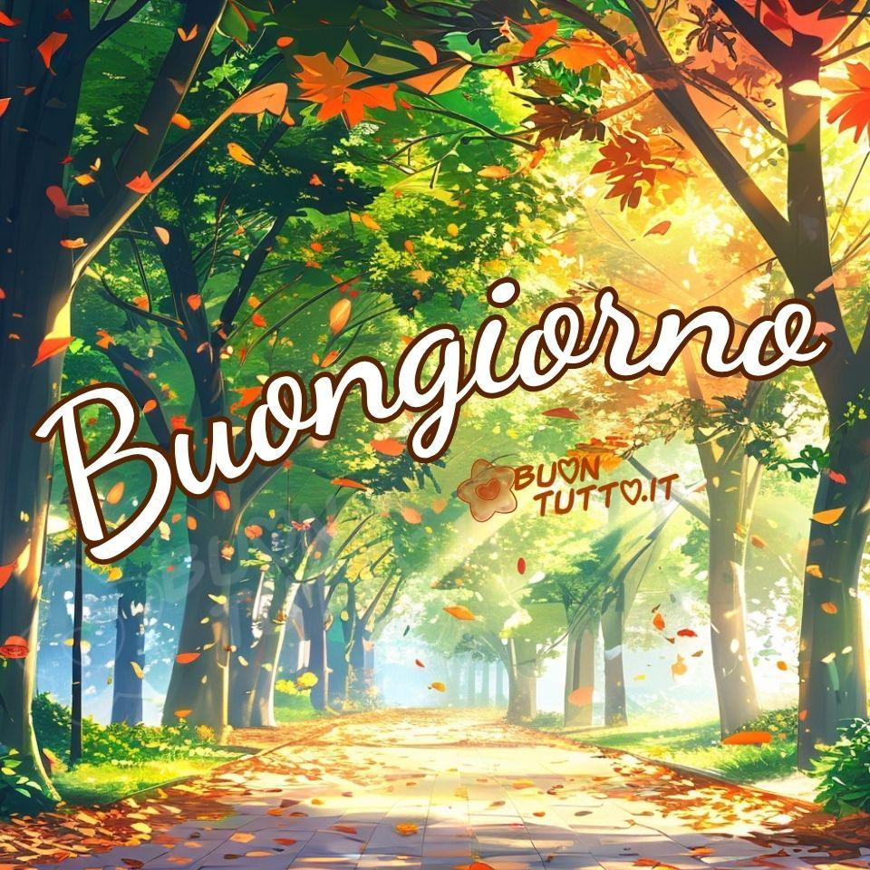 immagini-di-buongiorno-autunnale-viale-alberato-foglie-volano-solare-colori-caldi-elegante-bellissima-scaricare-gratis-buontutto