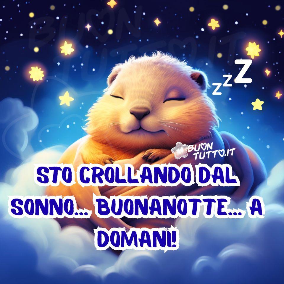 Disegno animato di un cucciolo di marmotta dal musetto rotondo e tenero che riposa profondamente, immerso in un sonno sereno. È avvolto in una coperta arancione soffice, dal tessuto leggermente peloso e un po’ stropicciata, che lo avvolge come un bozzolo caldo e protettivo, lasciando scoperta solo la testa e una piccola parte del petto. Il suo corpo è rannicchiato in posizione fetale, con le zampette appena visibili sotto il tessuto, mentre il volto esprime una pace assoluta: occhi chiusi, guance rilassate, un lieve sorriso che trasmette benessere e sicurezza. Il cucciolo è addormentato profondamente: gli occhi sono chiusi, le palpebre morbide e rilassate, la bocca accenna a un sorriso pacifico. Le guance sono leggermente arrotondate, conferendo un’espressione di serenità assoluta. Le orecchie, piccole e tonde, spuntano appena dalla coperta, aggiungendo un ulteriore tocco di dolcezza. La postura suggerisce un sonno tranquillo e protetto, come se il piccolo fosse immerso in un sogno piacevole. Sopra la sua testa fluttuano le classiche “Zzz”, simbolo universale del sonno, disegnate con un tratto morbido e leggermente luminoso, come se fossero sospese nell’aria come piccole scie di sogno. Il fondale è un cielo notturno incantato, punteggiato da stelle brillanti e nuvole vaporose dai toni pastello — blu, lilla e bianco perlato — che sembrano galleggiare in un universo ovattato. La luce è soffusa, con riflessi dorati e azzurri che accarezzano la scena, creando un’atmosfera onirica e avvolgente. Lo sfondo è un cielo notturno da sogno, punteggiato da stelle luminose e nuvole soffici nelle tonalità del blu e del lilla, che creano un’atmosfera sognante. Le stelle sono piccole, brillanti e numerose, distribuite in modo armonioso. Alcune appaiono più grandi e luminose, quasi scintillanti, mentre altre sono più tenui, contribuendo a un senso di profondità e quiete. 

Nella parte centrale dell'immagine compare una scritta in un carattere alto, con un effetto tremante di colore azzurro intenso e un contorno bianco sfumato: “Sto crollando dal sonno… Buonanotte… a domani!” L’immagine trasmette un senso di calma profonda, protezione e dolcezza, evocando l’idea di un sogno tranquillo in un mondo morbido e silenzioso. È perfetta da scaricare gratuitamente e condividere con amici, persone care, familiari, parenti e gruppi tramite WhatsApp, Facebook, X Twitter, Pinterest, Telegram, LinkedIn, Instagram e le tue piattaforme social preferite. Autore BuonTutto.it 