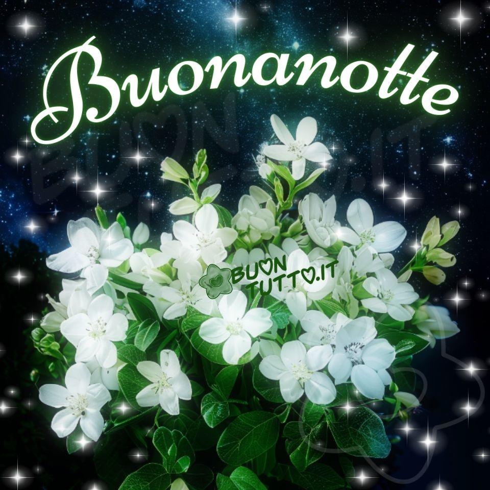 immagini-di-buonanotte-bellissimo-bouquet-fiori-bianchi-cielo-notturno-stellato-foto-splendida-elegante-scaricare-gratis-buontutto Foto in primo piano di un bouquet di fiori bianchi sbocciati con grazia. I fiori hanno petali morbidi, arrotondati e leggermente increspati, simili a velluto appena sfiorato, si aprono in corolle compatte e luminose. Attorno ai fiori si vedono foglie verde smeraldo, lucide e carnose, che creano un contrasto netto con il bianco dei petali. Sullo sfondo si apre un cielo notturno profondo, punteggiato da stelle minute e scintillanti, come se l’universo stesso vegliasse silenziosamente. Piccoli bagliori e riflessi luminosi fluttuano nell’aria, simili a polvere di stelle o a luccichii sospesi nel tempo, donando all’intera scena un’atmosfera incantata e sospesa. In alto, la parola Buonanotte brilla in un elegante corsivo luminoso, come tracciata con luce lunare. Il font sinuoso e raffinato sembra danzare tra le stelle, offrendo un saluto sereno e avvolgente, ideale per chi cerca conforto prima del sonno. L’immagine trasmette una sensazione di pace profonda, come se il mondo si fosse fermato per un istante a respirare bellezza. È un invito a lasciarsi cullare dalla notte, accompagnati dal profumo immaginario dei fiori e dal silenzio stellato che avvolge ogni cosa. Una raccolta di nuove bellissime immagini della Buonanotte da scaricare gratis e condividere con amici, cari, familiari, parenti gruppi tramite WhatsApp, Facebook, X Twitter, Pinterest, Telegram, LinkedIn, Instagram e le tue piattaforme social preferite. Autore BuonTutto.it