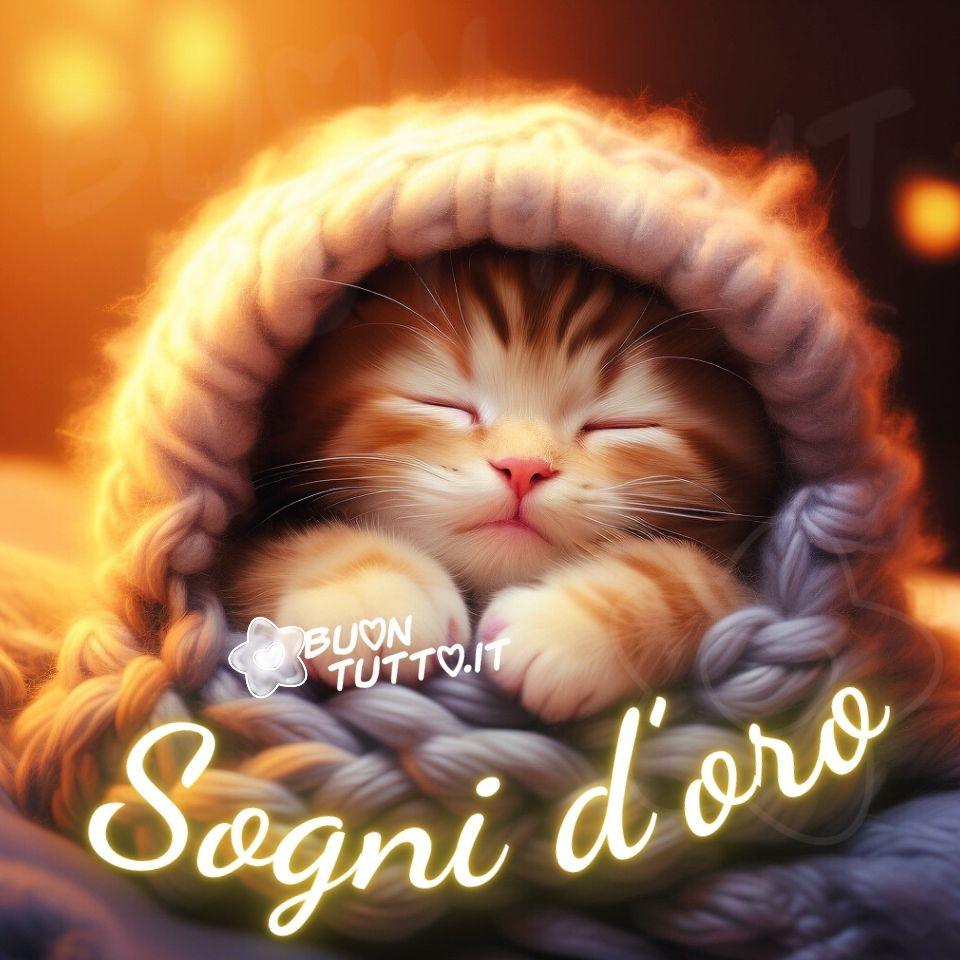 immagini-di-buonanotte-sogni-oro-gattino-arancione-bianco-dorme-riposo-rigenerante-affettuosa-bellissima-cartoon-scaricare-gratis-buontutto