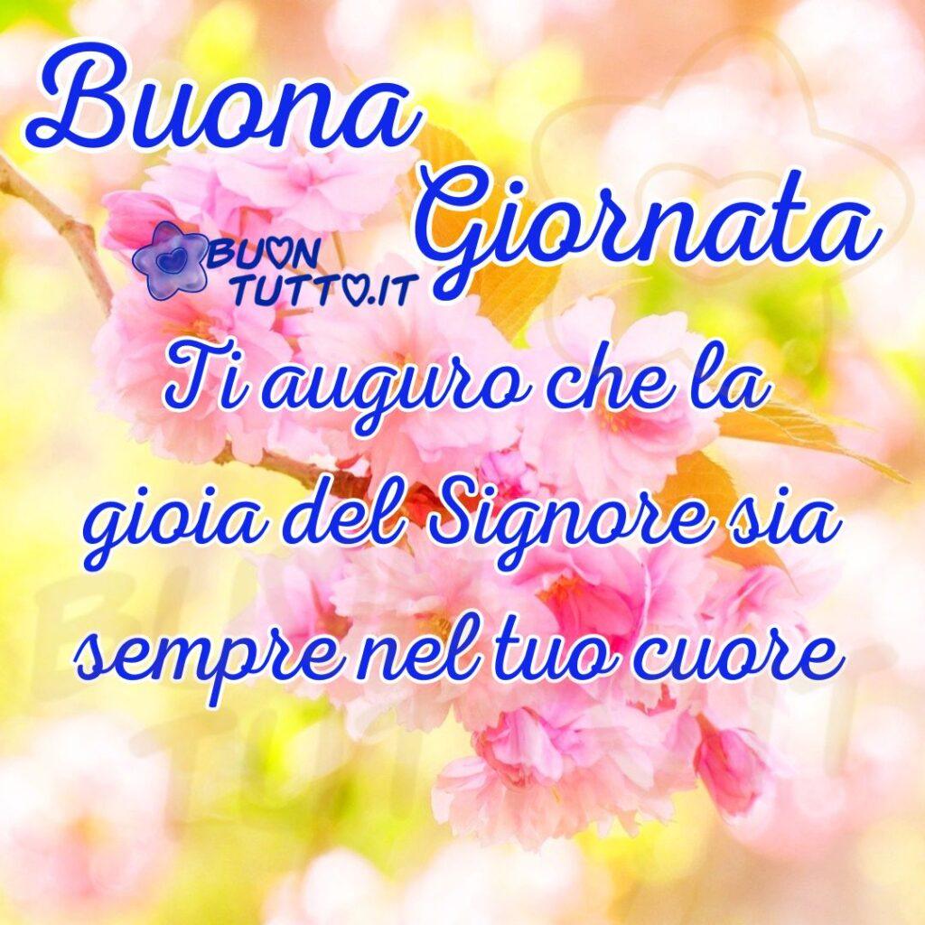 L’immagine ritrae un ramo di delicati fiori di ciliegio in piena fioritura, ripreso in un primo piano morbido e luminoso. I petali rosa, sottili come seta, vellutati e leggermente traslucidi, con stami centrali ben definiti, sembrano vibrare alla luce del mattino. Il fondo sfumato, composto da toni caldi di rosa, giallo e arancio, crea un’atmosfera soffusa e sospesa. Alcuni fiori sono completamente aperti, mentre altri sono ancora in boccio, dando vita a un ritmo naturale che rende la scena armoniosa e dinamica. Lo sfondo sfocato, realizzato con un bokeh caldo e avvolgente, presenta sfumature che richiamano l’alba e la luce filtrata attraverso le foglie. Questa morbidezza visiva amplifica la sensazione di quiete, come se il tempo si fosse fermato per un istante di contemplazione. Sovrapposta ai fiori, una frase in elegante calligrafia blu trasmette un augurio spirituale: un invito a custodire nel cuore la gioia del Signore. Il testo, perfettamente integrato nella composizione, trasforma la fotografia in un messaggio di fede, pace e dolcezza. Nella parte alta dell’immagine, in un carattere corsivo elegante, di grande dimensione e colore blu con contorno bianco, compare la scritta “Buona Giornata”; subito sotto, nello stesso stile ma in dimensioni più ridotte, si legge: “Ti auguro che la gioia del Signore sia sempre nel tuo cuore.” L’insieme crea un’atmosfera immersiva: sembra quasi di percepire il profumo leggero dei petali, la freschezza dell’aria del mattino e la serenità che solo la natura, unita alla spiritualità, sa donare. L’immagine trasmette una profonda sensazione di pace e rinascita, come se la primavera stessa stesse sussurrando una benedizione. Diventa così un messaggio spirituale che unisce bellezza naturale e fede. Questa fotografia fa parte di una raccolta di nuove e bellissime immagini di buongiorno religioso da scaricare gratis e condividere con amici, familiari, persone care e gruppi tramite WhatsApp, Facebook, X Twitter, Pinterest, Telegram, LinkedIn, Instagram e tutte le tue piattaforme social preferite. Autore: BuonTutto.it 
