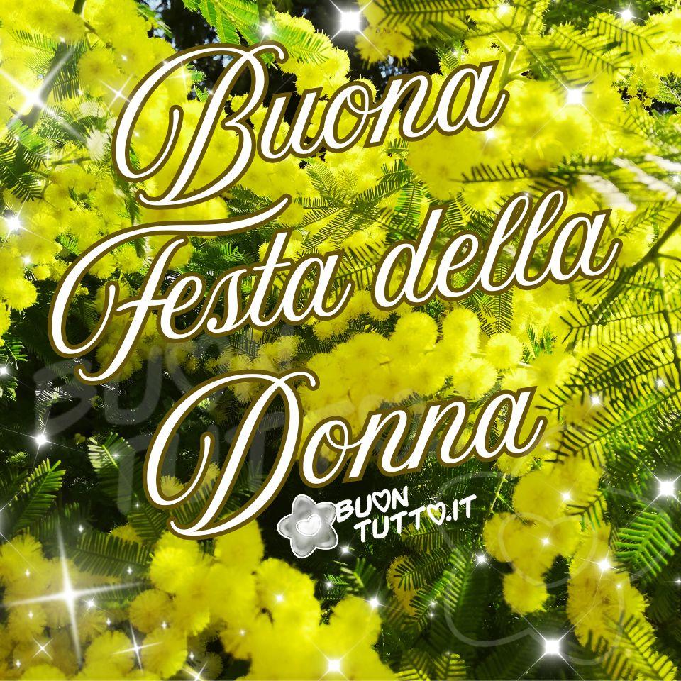 immagini-di-buona-festa-della-donna-8-marzo-mimose-eleganza-significato-fiori-luminosi-foto-bellissima-scaricare-gratis-buontutto