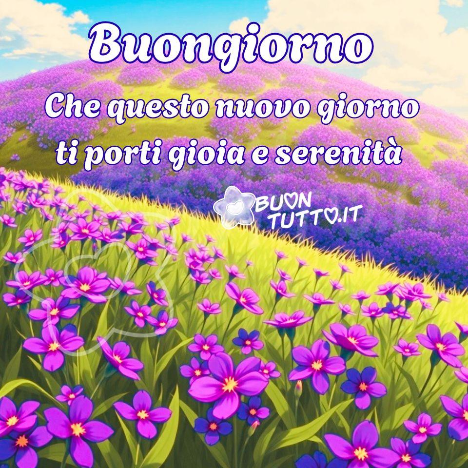 immagini-buongiorno-frasi-positive-fiori-viola-cielo-azzurro-gratis-da-scaricare-condividere-panorama-serene-paesaggi-naturali-primavera-auguri-mattutini-bellissima